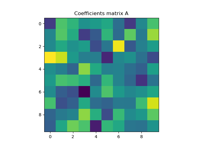 The coefficient matrix